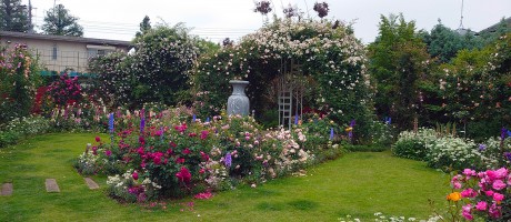 Family Rose Garden